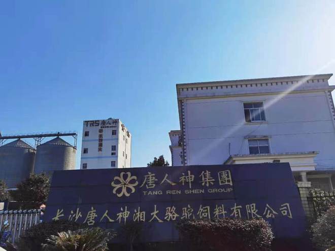 大方向连跌1年业绩有望大增迎来炒作J9国际网站每年1月必炒业绩报这5(图6)