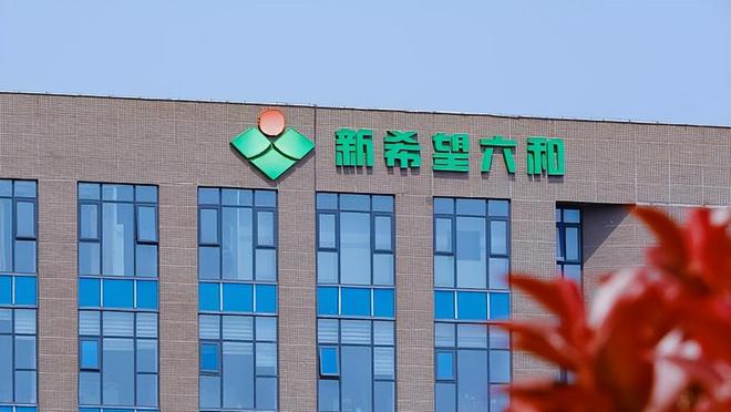 大方向连跌1年业绩有望大增迎来炒作J9国际网站每年1月必炒业绩报这5(图25)