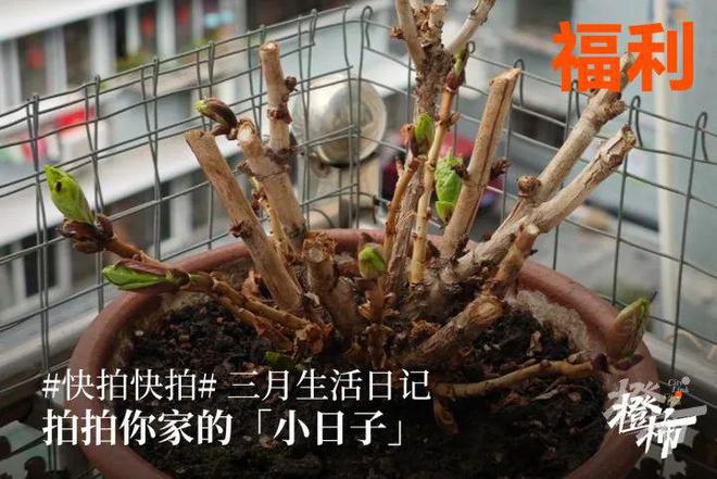 10000份新生礼来橙柿过三八节！九游会真人游戏第一品牌便携湿巾、