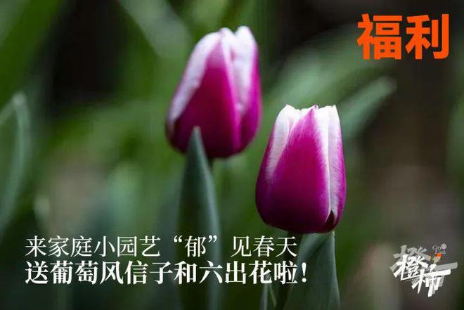 10000份新生礼来橙柿过三八节！九游会真人游戏第一品牌便携湿巾、(图11)